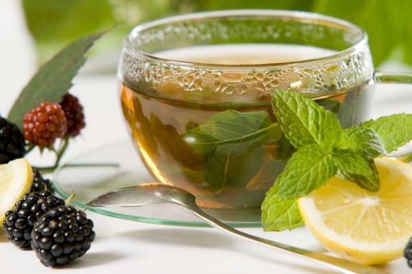 Donec vestibulum quam