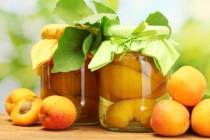 Maecenas ullamcorper